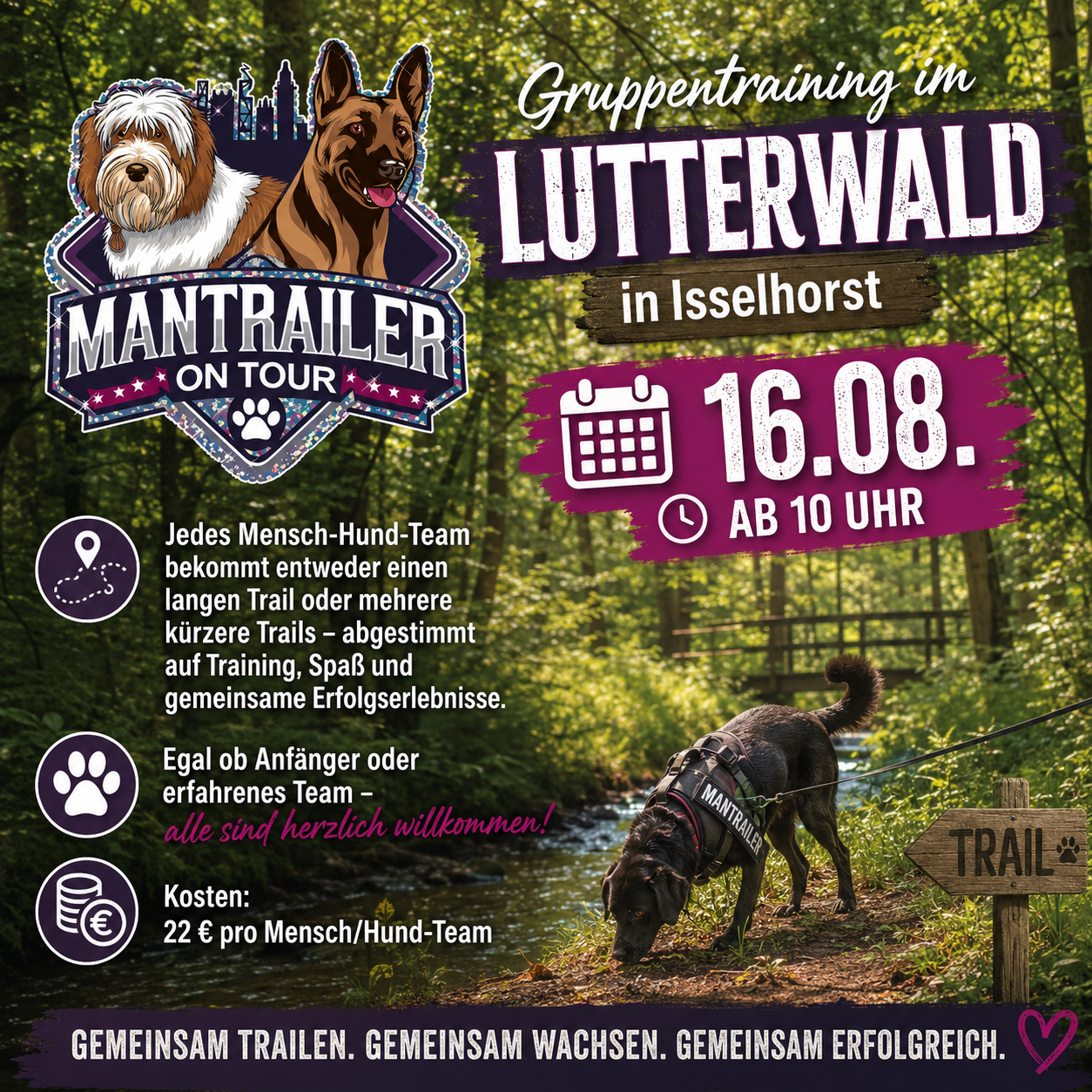 Gruppentraining Lutterwald Isselhorst 16.08.26 ab 10 Uhr
