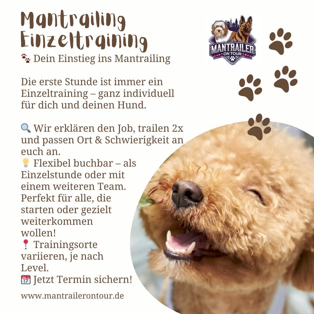 Einzeltraining Mantrailing
