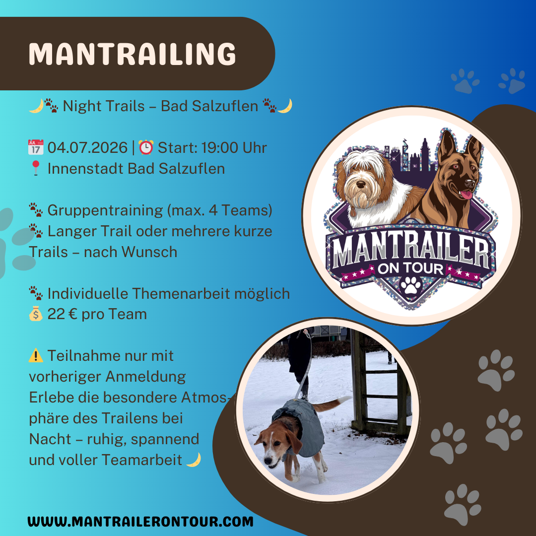 🌙🐾 Night Trails in der Innenstadt - 04.07.2026 in Bad Salzuflen 🐾🌙