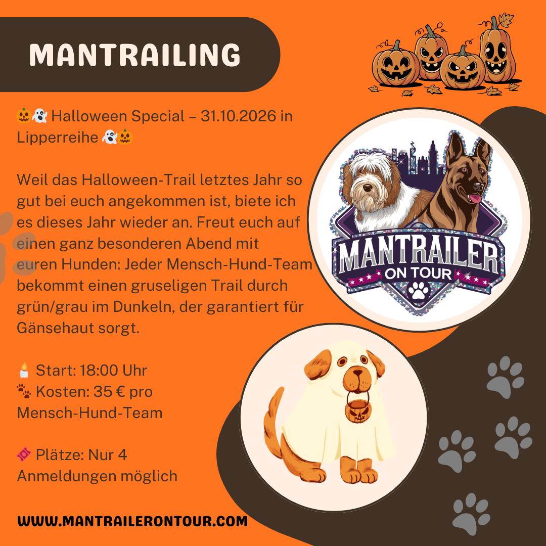 🎃👻 Halloween Special – 31.10.2026 in Lipperreihe 👻🎃
