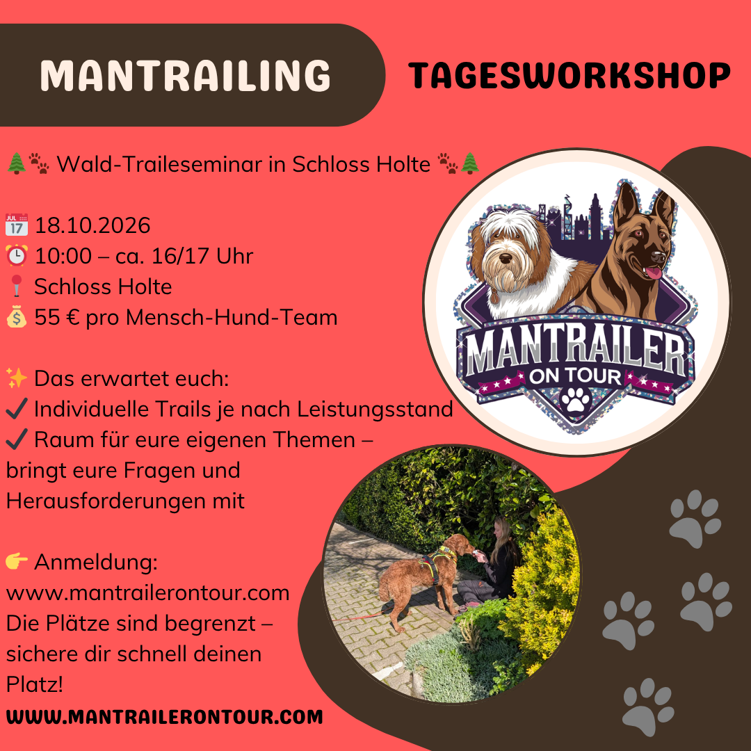 Waldseminar am 18.10.2026 in Schloss Holte