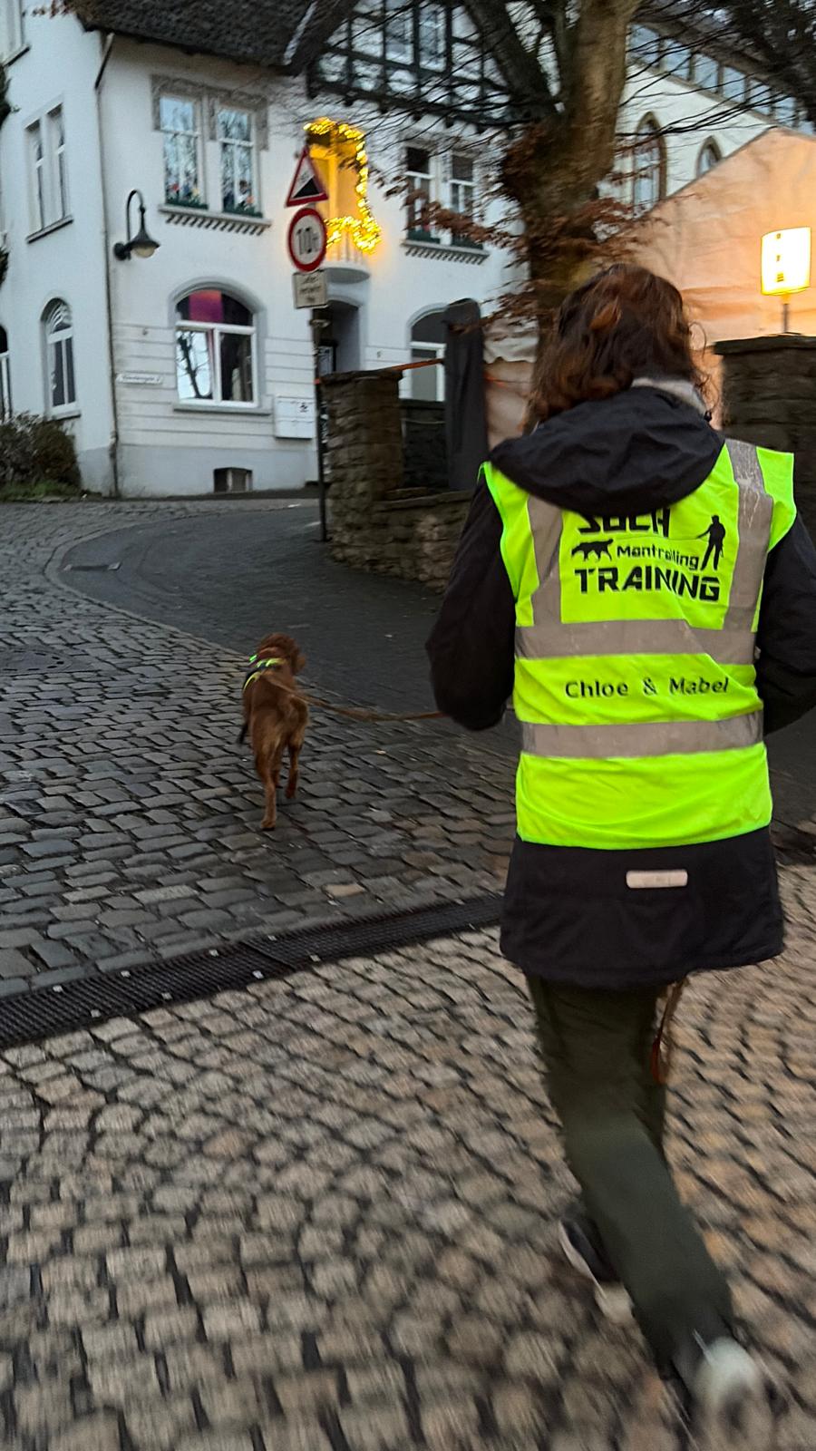 Tagesworkshops Mantrailing