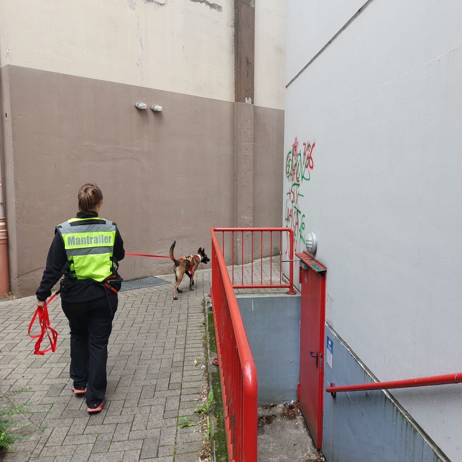 Mittwochs Training (Gruppentraining)