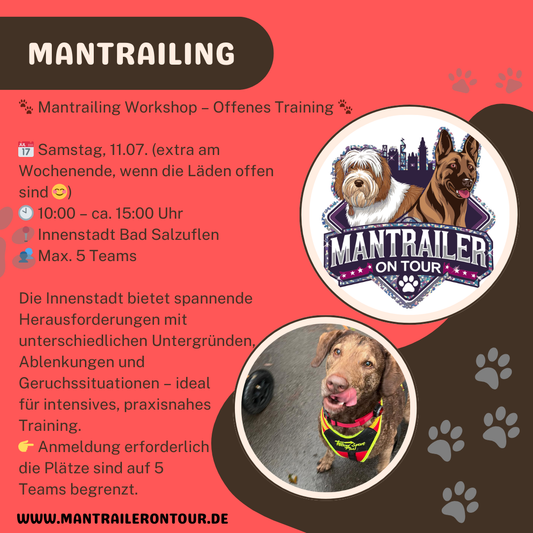 Tagesworkshop - offenes Training am 11.07.2026 in Bad Salzuflen