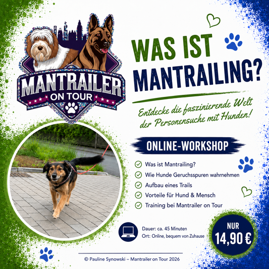 was ist Mantrailing überhaupt ?