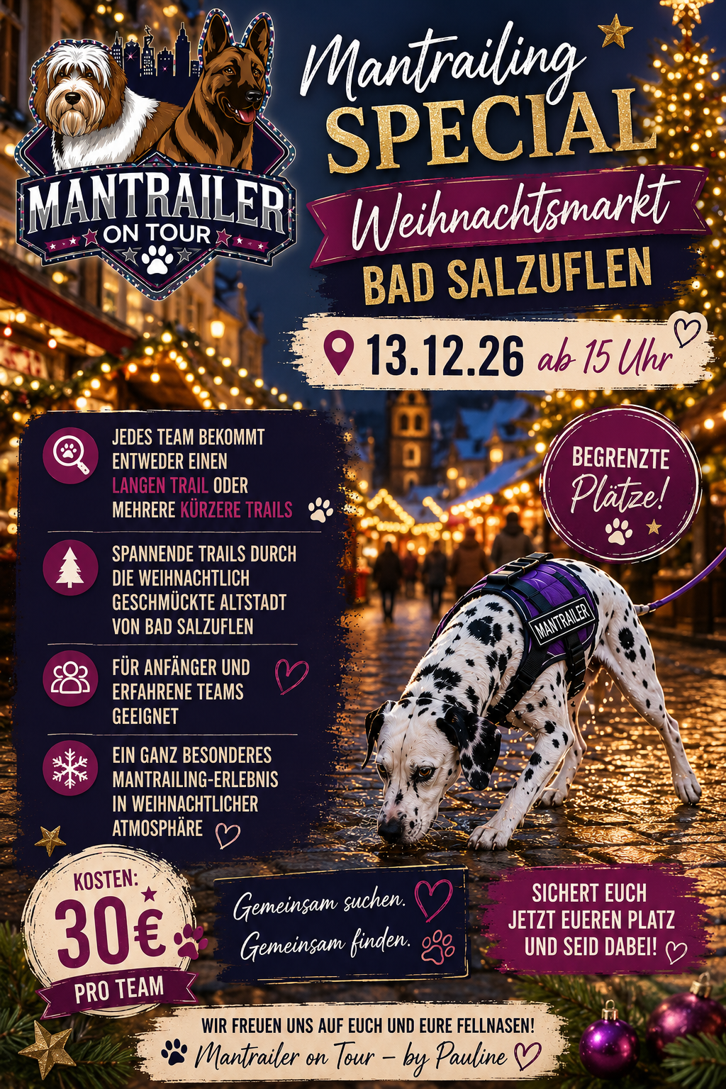 Weihnachtsmarkt Special - am 13.12.26 in Bad Salzuflen