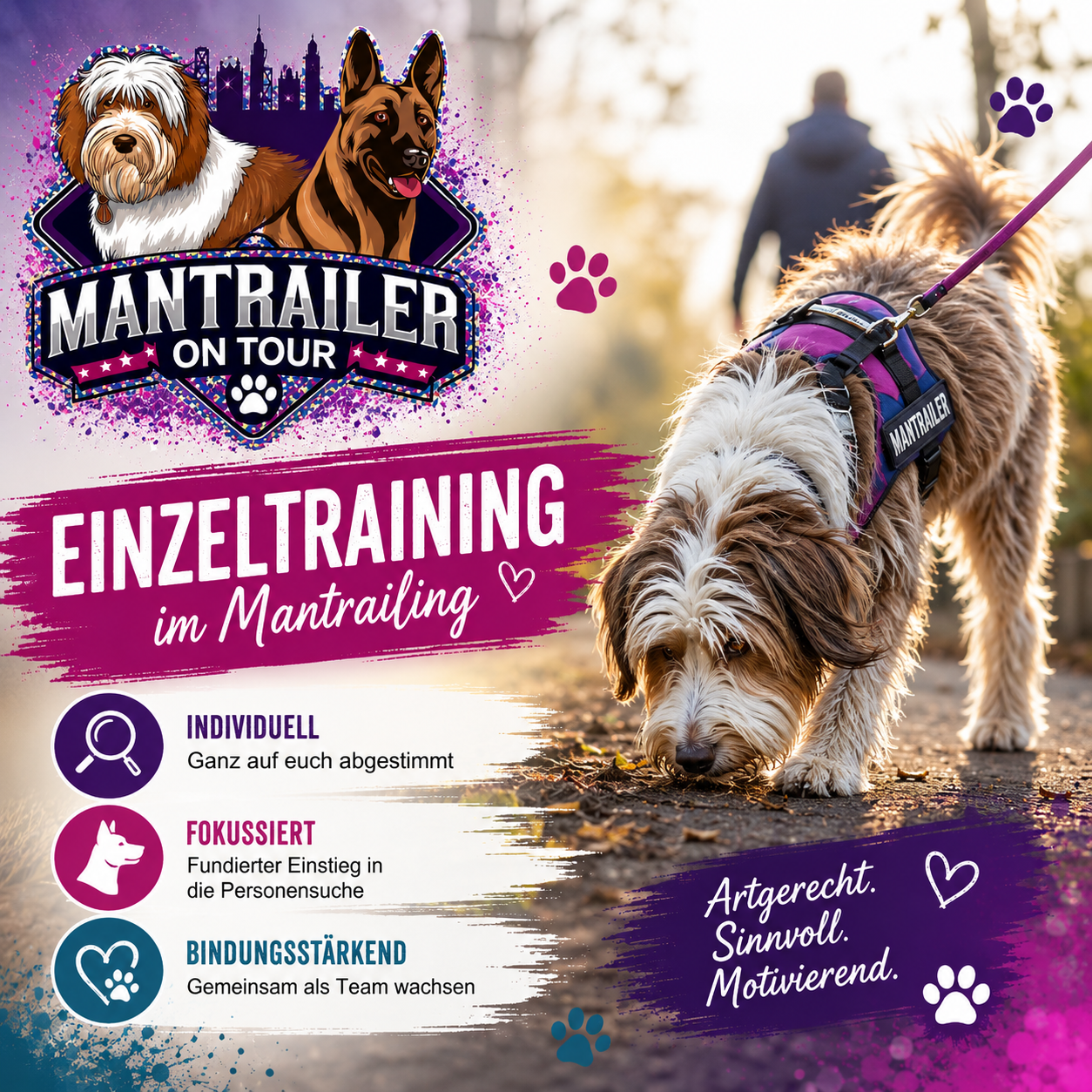 Einzeltraining Mantrailing