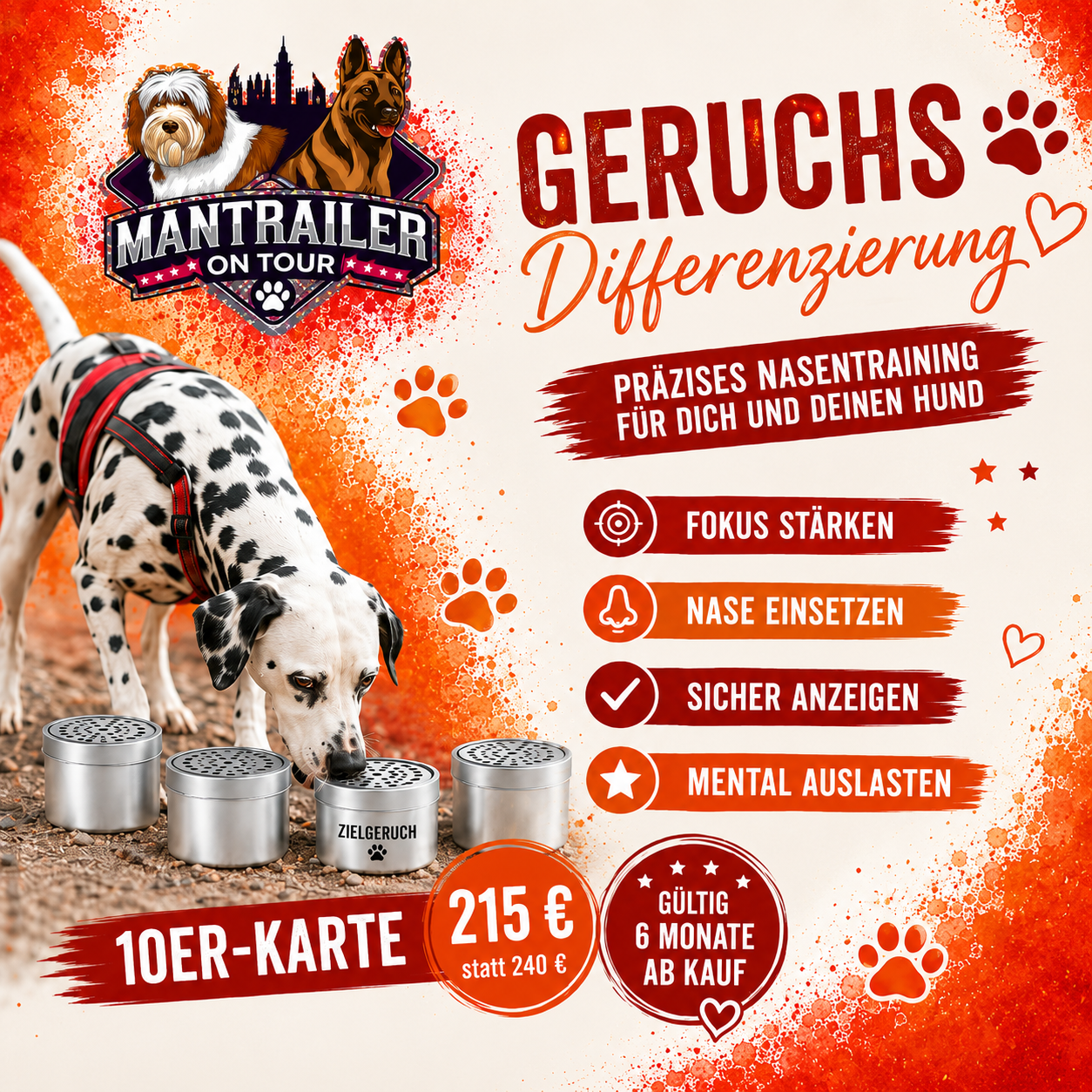 10er-Karte Geruchsdifferenzierung