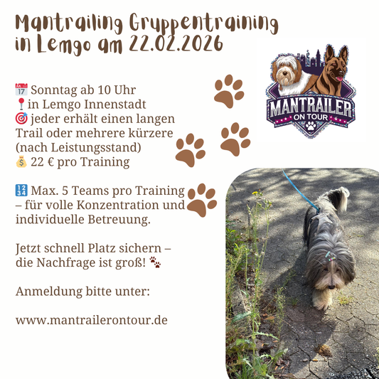Mantrailing Gruppentraining in Lemgo am 22.02.2026