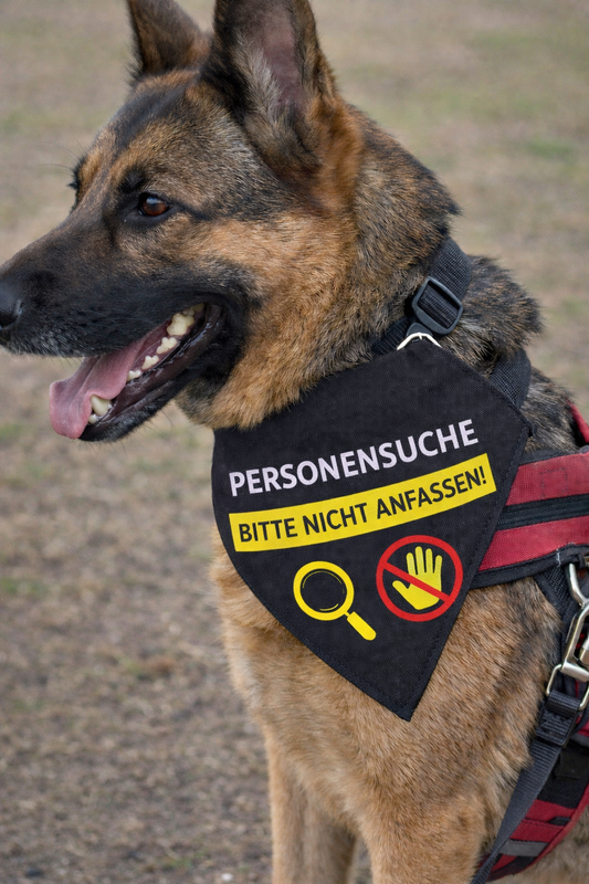 Halstuch Mantrailing für Hund