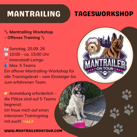 Tagesworkshop offenes Training - 20.09.2026 in Lemgo