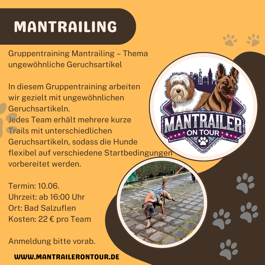 Gruppentraining Mantrailing – Thema ungewöhnliche Geruchsartikel am 10.06.26 in Bad Salzuflen