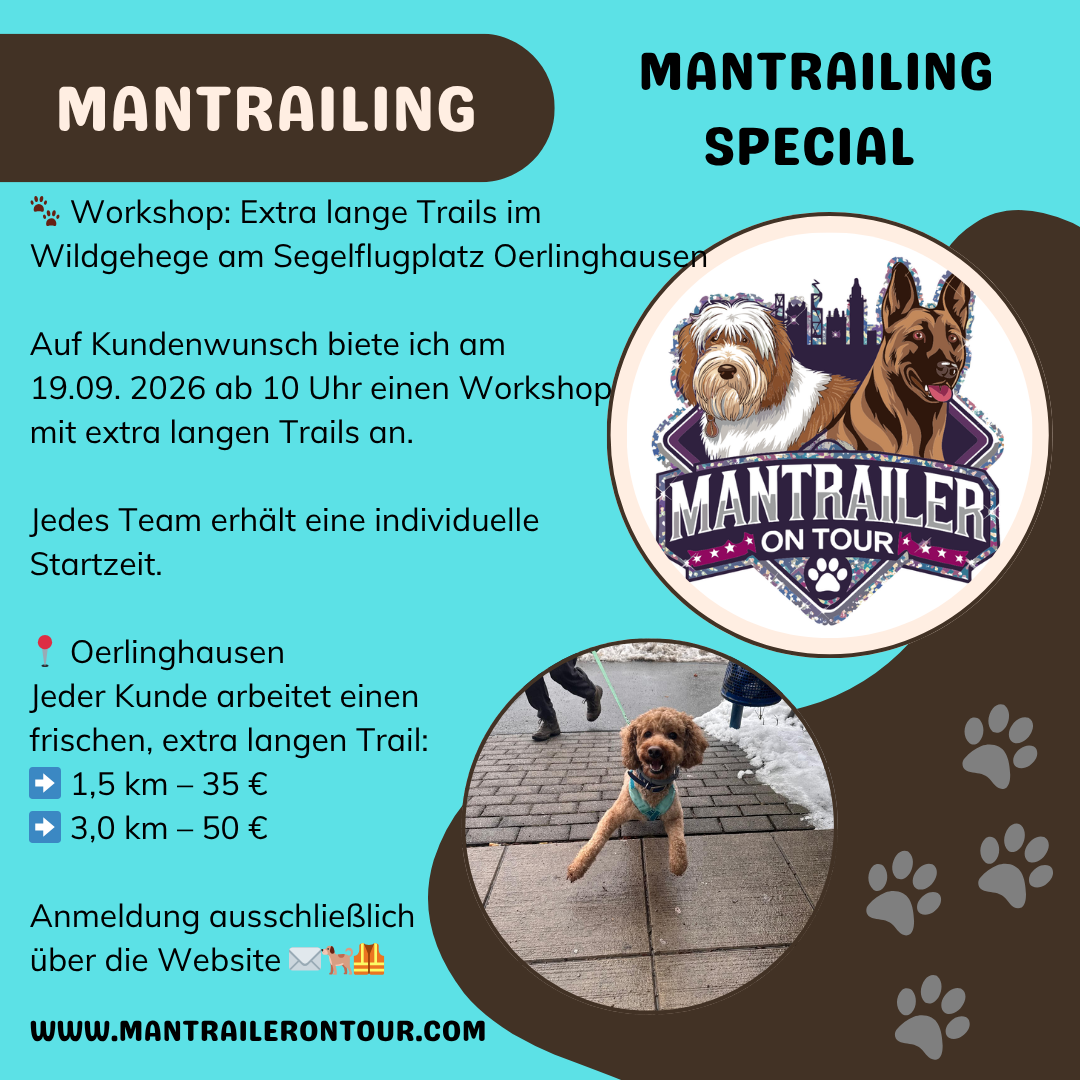 🐾 Workshop: Extra lange Trails 15.11.2026 - Wildgehege Oerlinghausen