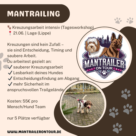 Kreuzungarbeit Tagesworkshop - am 21.06.26 in Lage/Lippe