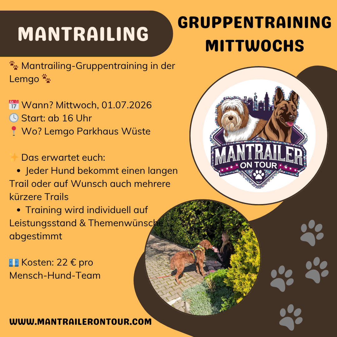 Gruppentraining 01.07.26 in Lemgo ab 16 Uhr