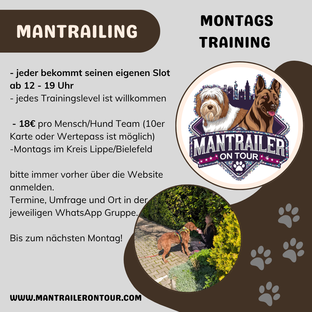 Mantrailing Montag Slots ab 12- 19 Uhr (Kreis Lippe o. Bielefeld)