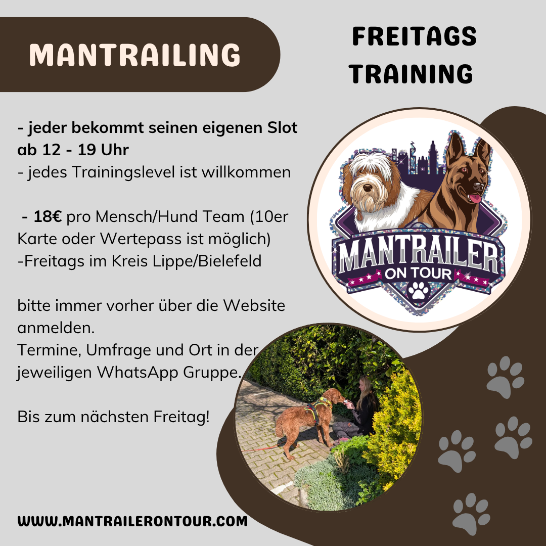 Mantrailing Freitag Slots ab 12 - 19 Uhr (Kreis Lippe o. Bielefeld)